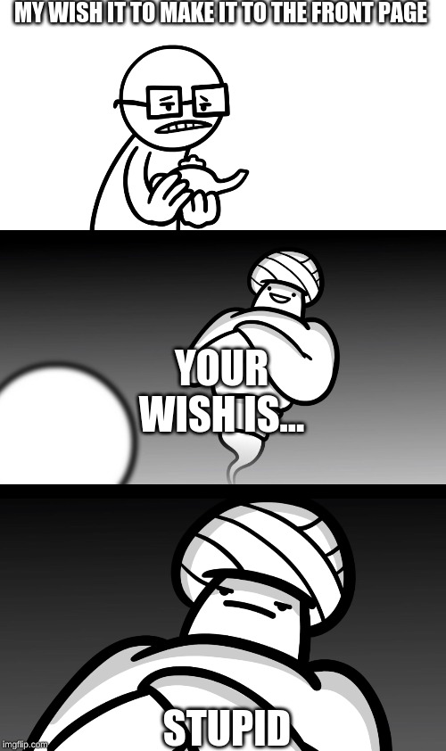 i mean raydog gets to | MY WISH IT TO MAKE IT TO THE FRONT PAGE; YOUR WISH IS... STUPID | image tagged in your wish is stupid | made w/ Imgflip meme maker