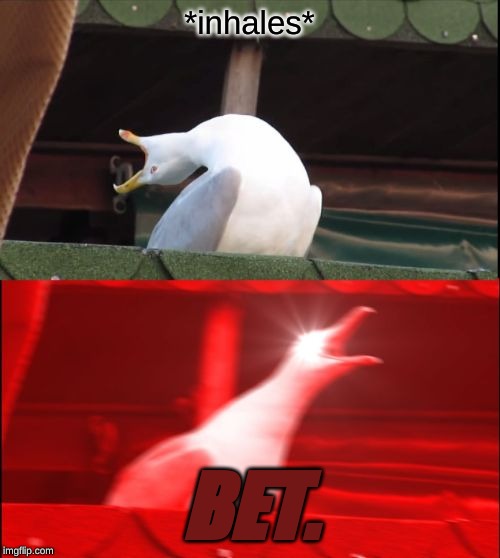 screaming seagull | *inhales* BET. | image tagged in screaming seagull | made w/ Imgflip meme maker
