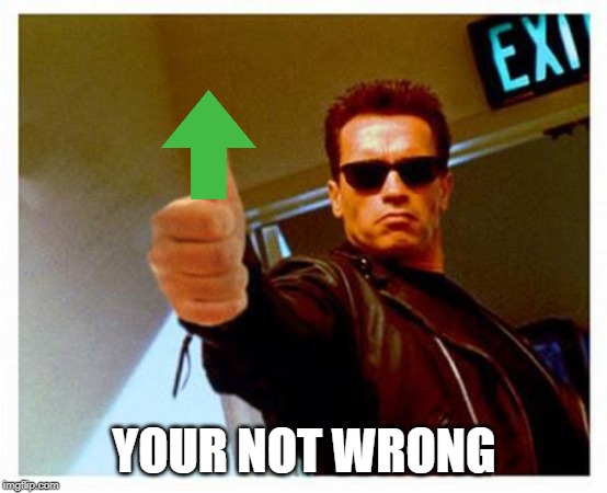terminator thumbs up | YOUR NOT WRONG | image tagged in terminator thumbs up | made w/ Imgflip meme maker