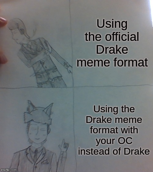 Mike Dixon Drake Meme Template | Using the official Drake meme format Using the Drake meme format with your OC instead of Drake | image tagged in mike dixon drake meme template | made w/ Imgflip meme maker