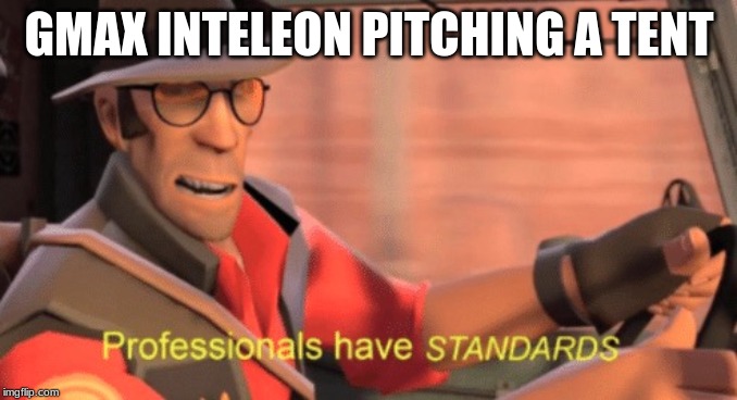 Professionals have standards | GMAX INTELEON PITCHING A TENT | image tagged in professionals have standards | made w/ Imgflip meme maker