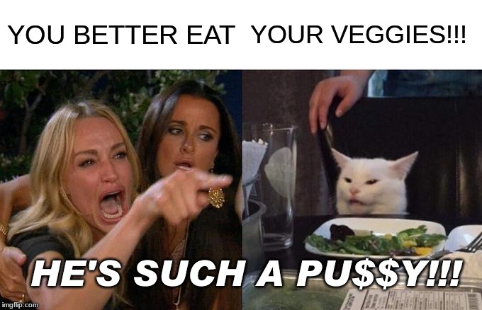 Woman Yelling At Cat | YOU BETTER EAT; YOUR VEGGIES!!! HE'S SUCH A PU$$Y!!! | image tagged in memes,woman yelling at cat | made w/ Imgflip meme maker