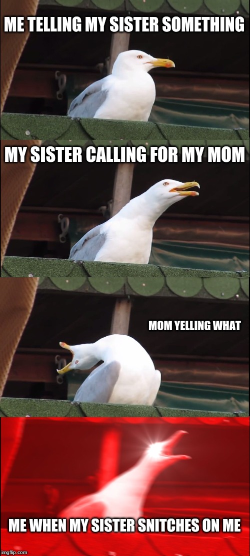 Inhaling Seagull Meme | ME TELLING MY SISTER SOMETHING; MY SISTER CALLING FOR MY MOM; MOM YELLING WHAT; ME WHEN MY SISTER SNITCHES ON ME | image tagged in memes,inhaling seagull | made w/ Imgflip meme maker