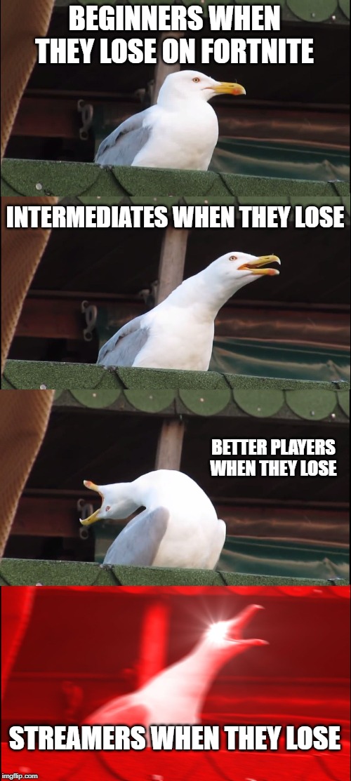 Inhaling Seagull | BEGINNERS WHEN THEY LOSE ON FORTNITE; INTERMEDIATES WHEN THEY LOSE; BETTER PLAYERS WHEN THEY LOSE; STREAMERS WHEN THEY LOSE | image tagged in memes,inhaling seagull | made w/ Imgflip meme maker