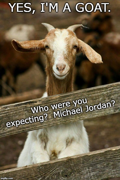 Its ok goat | YES, I'M A GOAT. Who were you expecting?  Michael Jordan? | image tagged in its ok goat | made w/ Imgflip meme maker