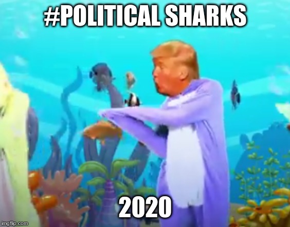 #POLITICAL SHARKS; 2020 | image tagged in baby shark,donald trump,trump | made w/ Imgflip meme maker