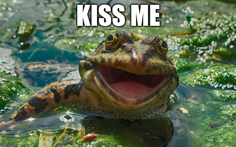 KISS ME | image tagged in made me croak | made w/ Imgflip meme maker