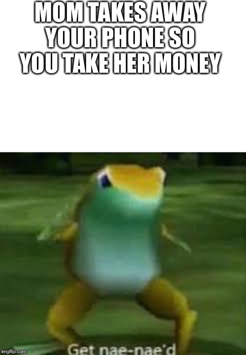 MOM TAKES AWAY YOUR PHONE SO YOU TAKE HER MONEY | image tagged in get nae-naed | made w/ Imgflip meme maker