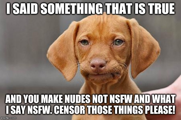 Dissapointed puppy | I SAID SOMETHING THAT IS TRUE; AND YOU MAKE NUDES NOT NSFW AND WHAT I SAY NSFW. CENSOR THOSE THINGS PLEASE! | image tagged in dissapointed puppy | made w/ Imgflip meme maker