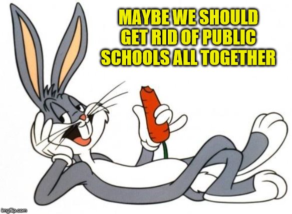 The adventure of bugs bunny | MAYBE WE SHOULD GET RID OF PUBLIC SCHOOLS ALL TOGETHER | image tagged in the adventure of bugs bunny | made w/ Imgflip meme maker