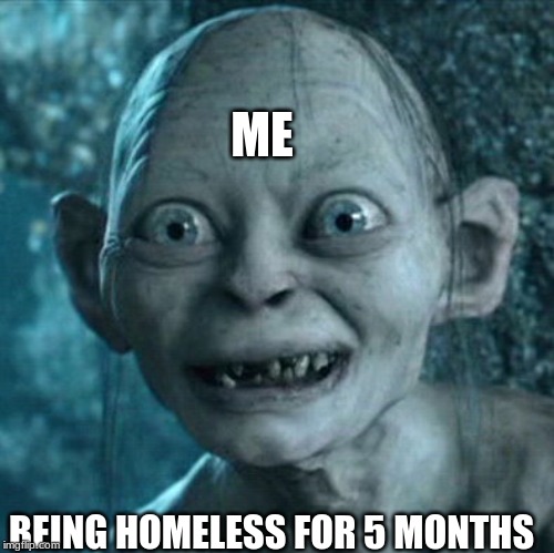 Gollum | ME; BEING HOMELESS FOR 5 MONTHS | image tagged in memes,gollum | made w/ Imgflip meme maker