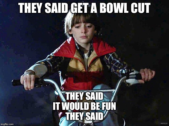 Will (Stranger Things) | THEY SAID GET A BOWL CUT; THEY SAID
IT WOULD BE FUN
THEY SAID | image tagged in will stranger things | made w/ Imgflip meme maker