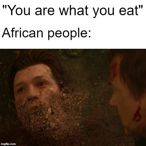 You are what you eat | "You are what you eat"; African people: | image tagged in spiderman getting thanos snapped,memes,spiderman,africa | made w/ Imgflip meme maker