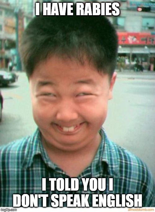 funny asian face | I HAVE RABIES; I TOLD YOU I DON'T SPEAK ENGLISH | image tagged in funny asian face | made w/ Imgflip meme maker