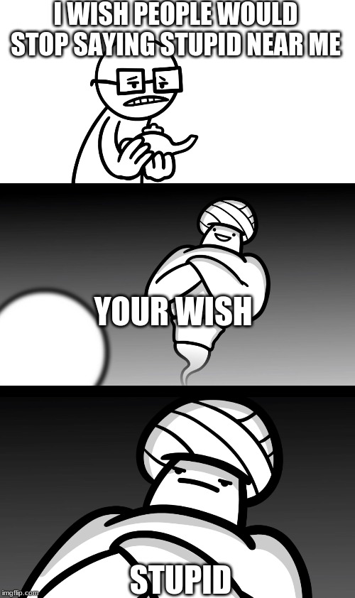 Your Wish is Stupid | I WISH PEOPLE WOULD STOP SAYING STUPID NEAR ME; YOUR WISH; STUPID | image tagged in your wish is stupid | made w/ Imgflip meme maker