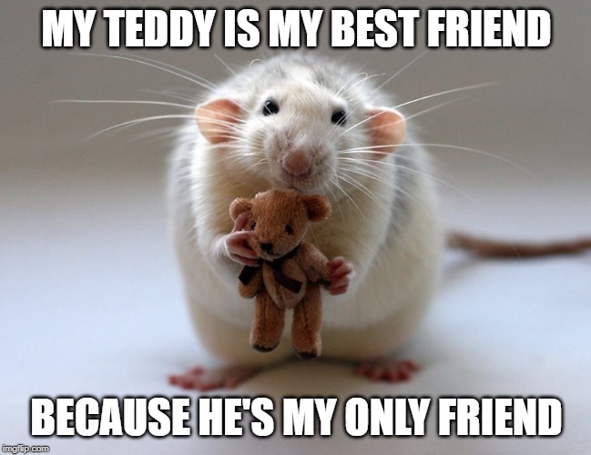 my teddyz | MY TEDDY IS MY BEST FRIEND; BECAUSE HE'S MY ONLY FRIEND | image tagged in memes | made w/ Imgflip meme maker