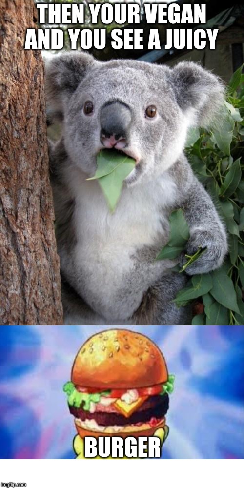 Surprised Koala | THEN YOUR VEGAN AND YOU SEE A JUICY; BURGER | image tagged in memes,surprised koala | made w/ Imgflip meme maker