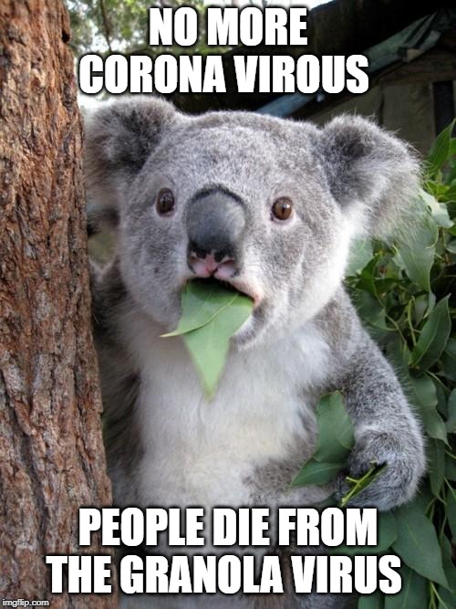Surprised Koala Meme | NO MORE CORONA VIROUS; PEOPLE DIE FROM THE GRANOLA VIRUS | image tagged in memes,surprised koala | made w/ Imgflip meme maker