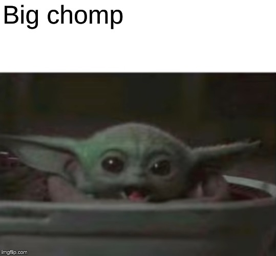 Baby Yoda smiling | Big chomp | image tagged in baby yoda smiling | made w/ Imgflip meme maker