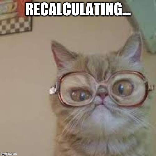 Funny cat meme | RECALCULATING... | image tagged in teacher | made w/ Imgflip meme maker