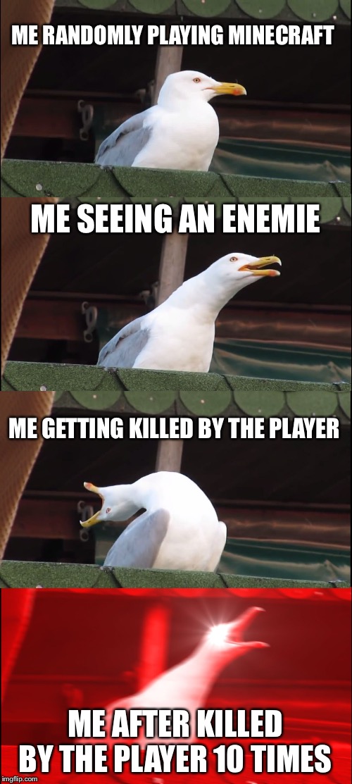 Inhaling Seagull Meme | ME RANDOMLY PLAYING MINECRAFT; ME SEEING AN ENEMIE; ME GETTING KILLED BY THE PLAYER; ME AFTER KILLED BY THE PLAYER 10 TIMES | image tagged in memes,inhaling seagull | made w/ Imgflip meme maker