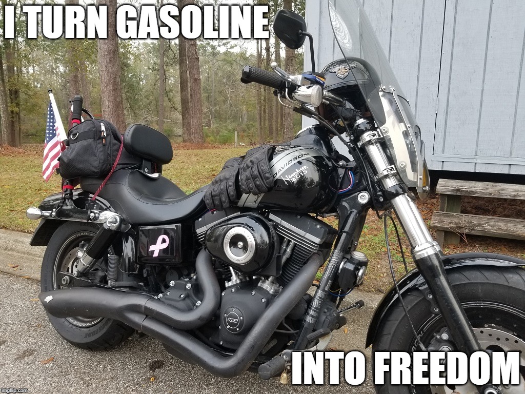 Freedom Bike | I TURN GASOLINE; INTO FREEDOM | image tagged in harley davidson,harley,fatbob,fdxf,nimbus2015,dyna | made w/ Imgflip meme maker