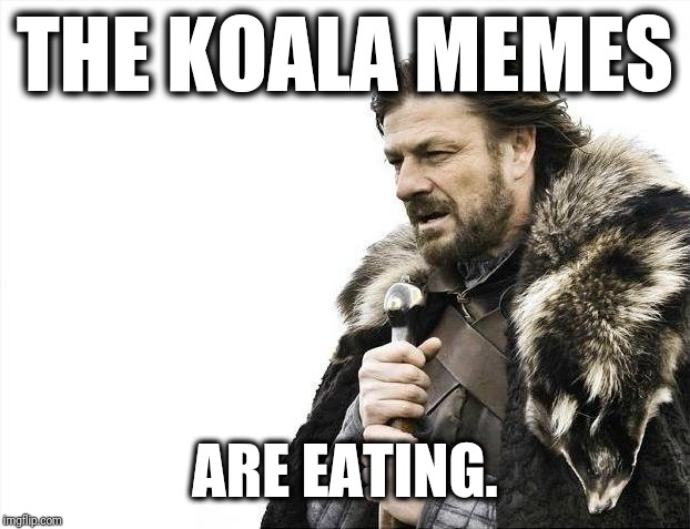 The Koalas are Coming! | THE KOALA MEMES; ARE EATING. | image tagged in memes,brace yourselves x is coming,koala,are eating | made w/ Imgflip meme maker