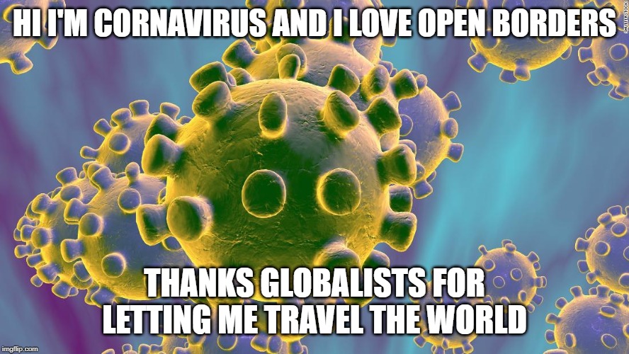 Coronavirus | HI I'M CORNAVIRUS AND I LOVE OPEN BORDERS; THANKS GLOBALISTS FOR LETTING ME TRAVEL THE WORLD | image tagged in coronavirus | made w/ Imgflip meme maker