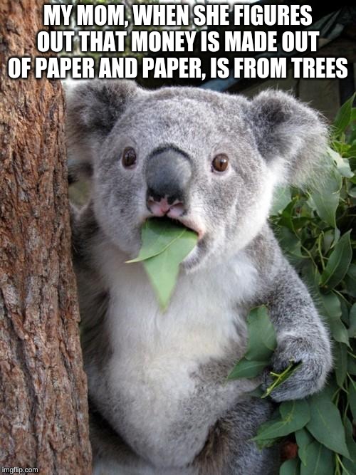 Surprised Koala | MY MOM, WHEN SHE FIGURES OUT THAT MONEY IS MADE OUT OF PAPER AND PAPER, IS FROM TREES | image tagged in memes,surprised koala | made w/ Imgflip meme maker