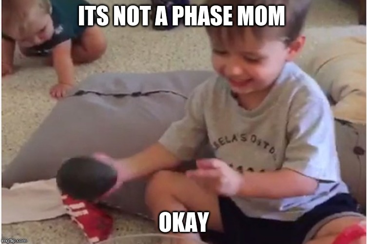 it's an avocado...thanks | ITS NOT A PHASE MOM; OKAY | image tagged in it's an avocadothanks | made w/ Imgflip meme maker