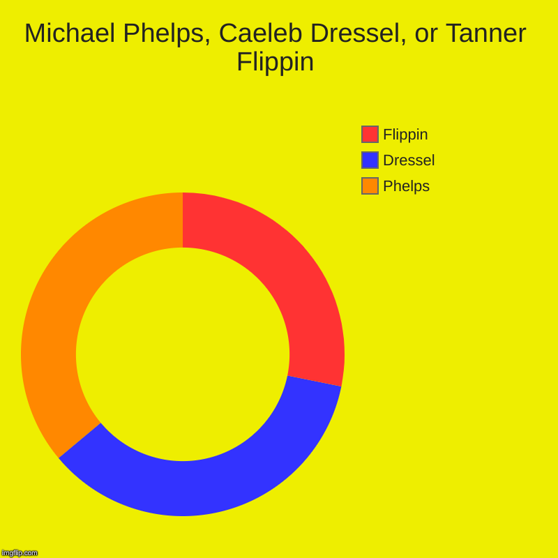 Michael Phelps, Caeleb Dressel, or Tanner Flippin | Phelps, Dressel, Flippin | image tagged in charts,donut charts | made w/ Imgflip chart maker