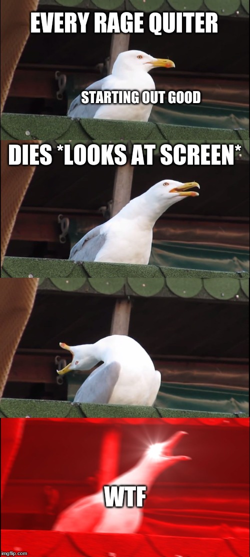 Inhaling Seagull | EVERY RAGE QUITER; STARTING OUT GOOD; DIES *LOOKS AT SCREEN*; WTF | image tagged in memes,inhaling seagull | made w/ Imgflip meme maker