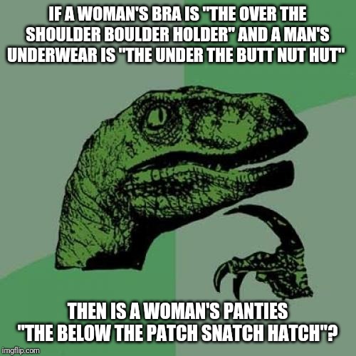 Philosoraptor | IF A WOMAN'S BRA IS "THE OVER THE SHOULDER BOULDER HOLDER" AND A MAN'S UNDERWEAR IS "THE UNDER THE BUTT NUT HUT"; THEN IS A WOMAN'S PANTIES "THE BELOW THE PATCH SNATCH HATCH"? | image tagged in memes,philosoraptor,funny memes,fun,lol so funny,think about it | made w/ Imgflip meme maker