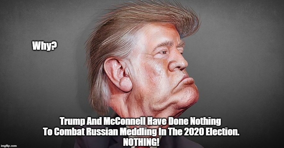 Why? Trump And McConnell Have Done Nothing 
To Combat Russian Meddling In The 2020 Election.
NOTHING! | made w/ Imgflip meme maker