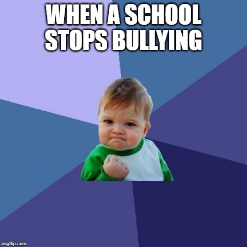 Success Kid | WHEN A SCHOOL STOPS BULLYING | image tagged in memes,success kid | made w/ Imgflip meme maker