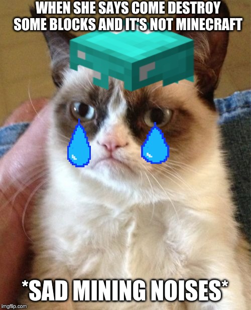 WHEN SHE SAYS COME DESTROY SOME BLOCKS AND IT'S NOT MINECRAFT; *SAD MINING NOISES* | image tagged in funny | made w/ Imgflip meme maker