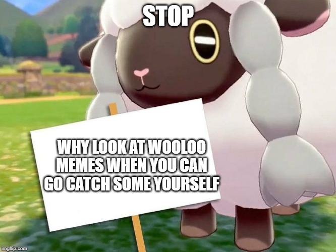 Wooloo Blank Sign | STOP; WHY LOOK AT WOOLOO MEMES WHEN YOU CAN GO CATCH SOME YOURSELF | image tagged in wooloo blank sign | made w/ Imgflip meme maker