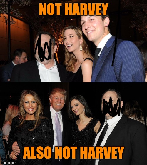 NOT HARVEY ALSO NOT HARVEY | made w/ Imgflip meme maker