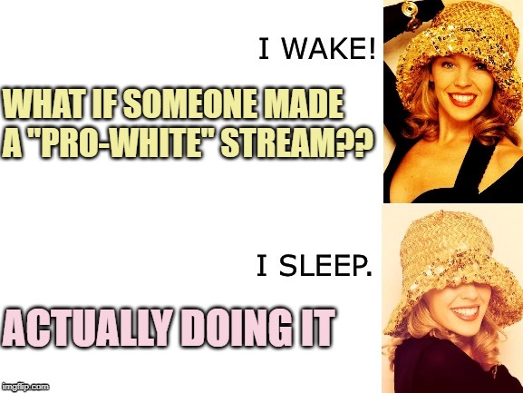 What if someone made a "Pro-White" stream? I don't know! Try it and see what happens! | WHAT IF SOMEONE MADE A "PRO-WHITE" STREAM?? ACTUALLY DOING IT | image tagged in kylie i wake/i sleep,white power,white people,racism,imgflip trolls,imgflip mods | made w/ Imgflip meme maker