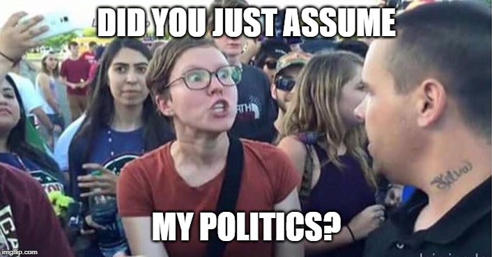 Did you just assume my gender | DID YOU JUST ASSUME MY POLITICS? | image tagged in did you just assume my gender | made w/ Imgflip meme maker