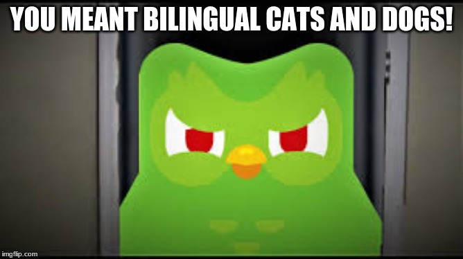 YOU MEANT BILINGUAL CATS AND DOGS! | made w/ Imgflip meme maker