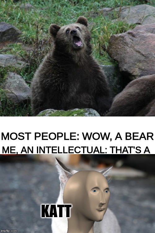 Sarcastic Bear | ME, AN INTELLECTUAL: THAT'S A; MOST PEOPLE: WOW, A BEAR; KATT | image tagged in sarcastic bear | made w/ Imgflip meme maker