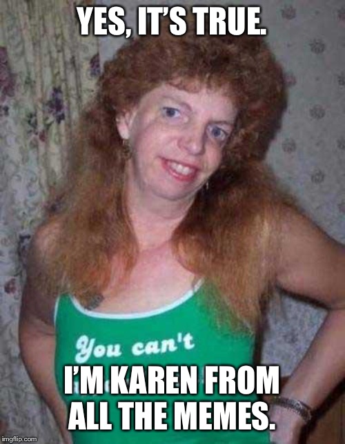 Ugly Woman |  YES, IT’S TRUE. I’M KAREN FROM ALL THE MEMES. | image tagged in ugly woman | made w/ Imgflip meme maker