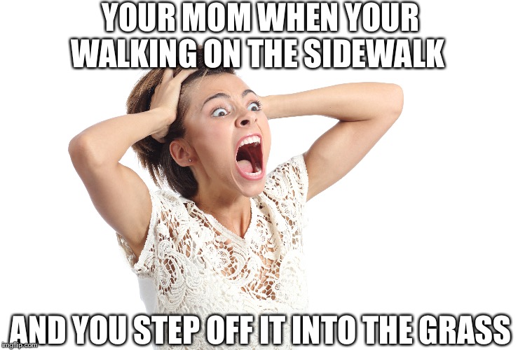 YOUR MOM WHEN YOUR WALKING ON THE SIDEWALK; AND YOU STEP OFF IT INTO THE GRASS | image tagged in memes | made w/ Imgflip meme maker