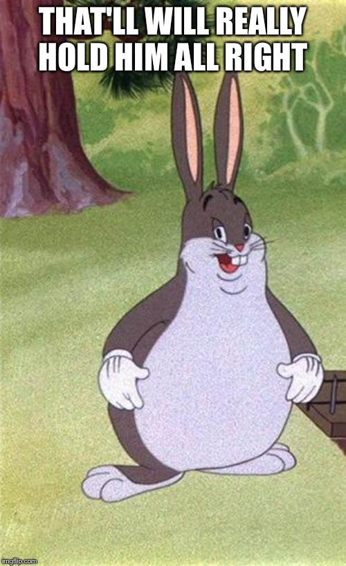 Big Chungus | THAT'LL WILL REALLY HOLD HIM ALL RIGHT | image tagged in big chungus | made w/ Imgflip meme maker