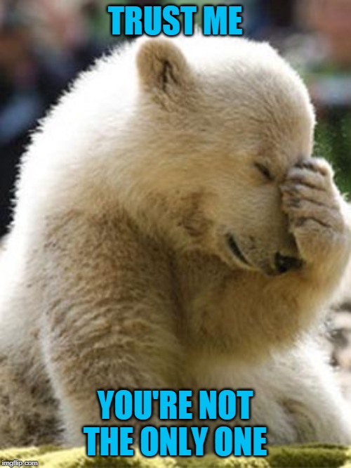 Facepalm Bear Meme | TRUST ME YOU'RE NOT THE ONLY ONE | image tagged in memes,facepalm bear | made w/ Imgflip meme maker