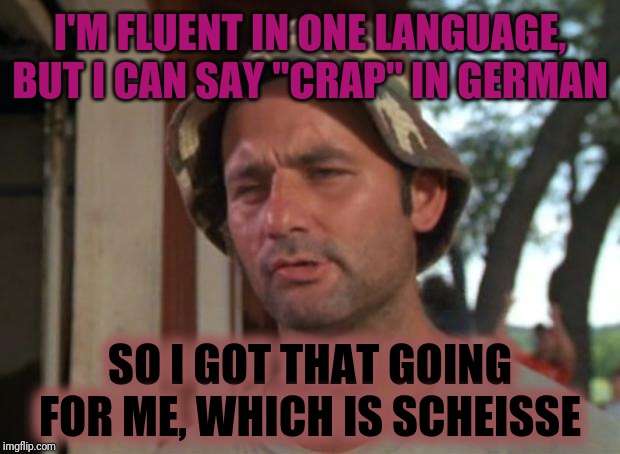Making the old ancestors proud | I'M FLUENT IN ONE LANGUAGE, BUT I CAN SAY "CRAP" IN GERMAN; SO I GOT THAT GOING FOR ME, WHICH IS SCHEISSE | image tagged in memes,so i got that goin for me which is nice,german,language,swear word | made w/ Imgflip meme maker