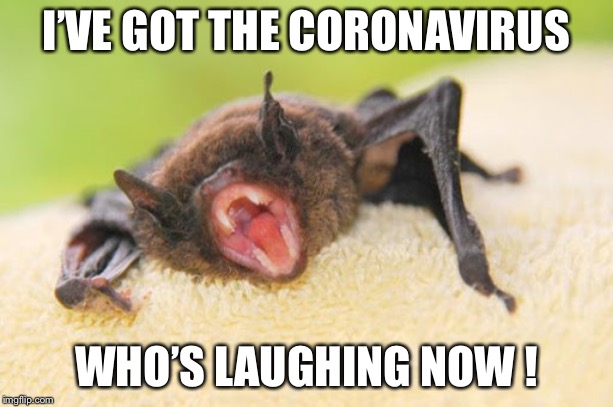 Who’s laughing now ! | I’VE GOT THE CORONAVIRUS; WHO’S LAUGHING NOW ! | image tagged in whos laughing now | made w/ Imgflip meme maker