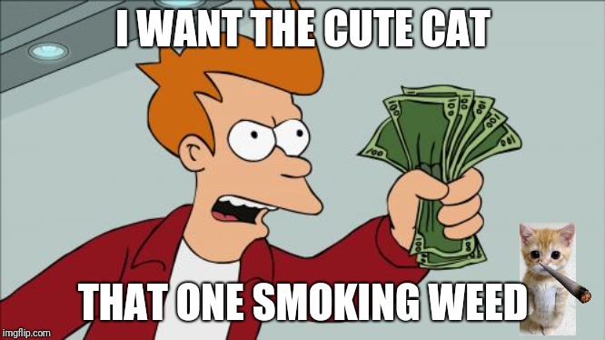 Shut Up And Take My Money Fry | I WANT THE CUTE CAT; THAT ONE SMOKING WEED | image tagged in memes,shut up and take my money fry | made w/ Imgflip meme maker