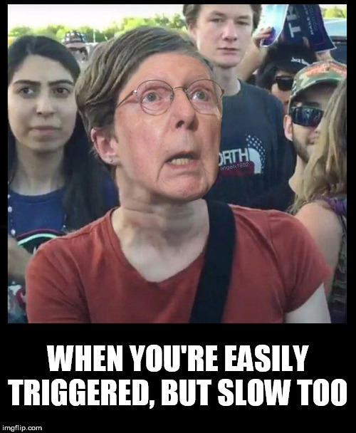 triggered | WHEN YOU'RE EASILY TRIGGERED, BUT SLOW TOO | image tagged in triggered,mitch mcconnell,turtle,slow,russian,clown car republicans | made w/ Imgflip meme maker